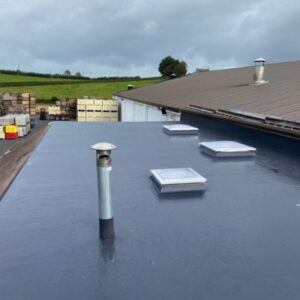 Fibreglass Roof